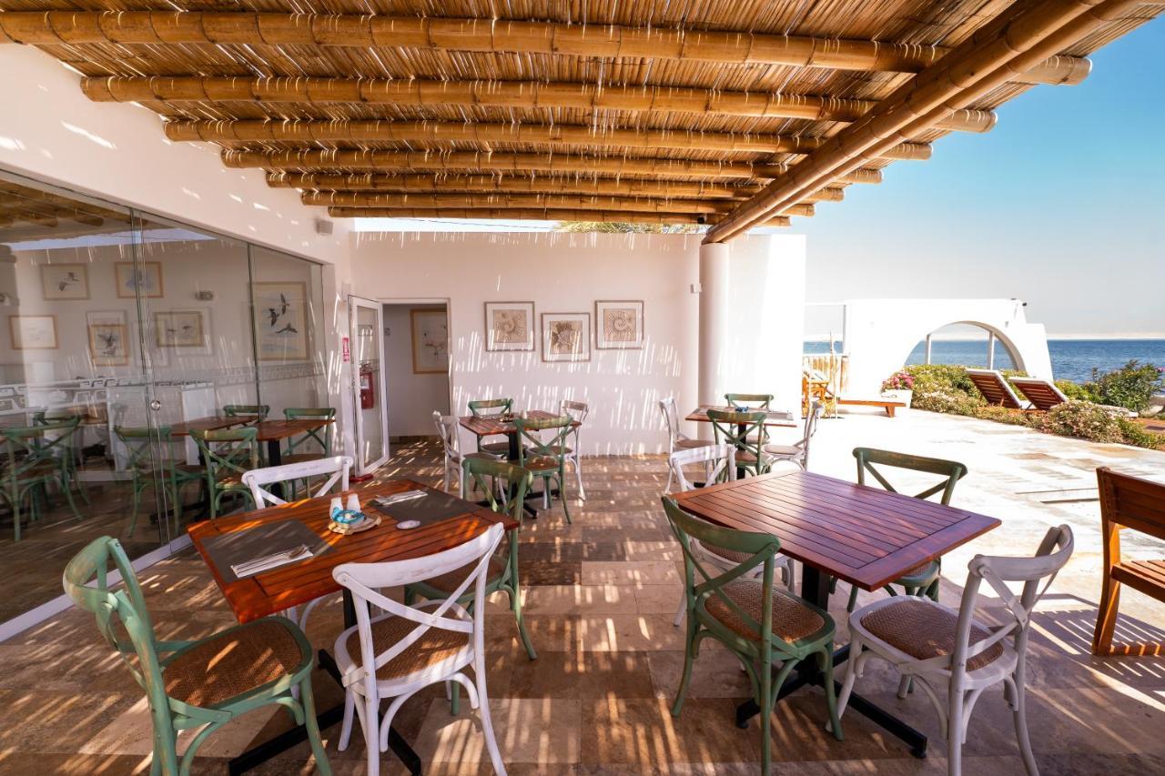 Atoq Paracas Reserva Exterior foto